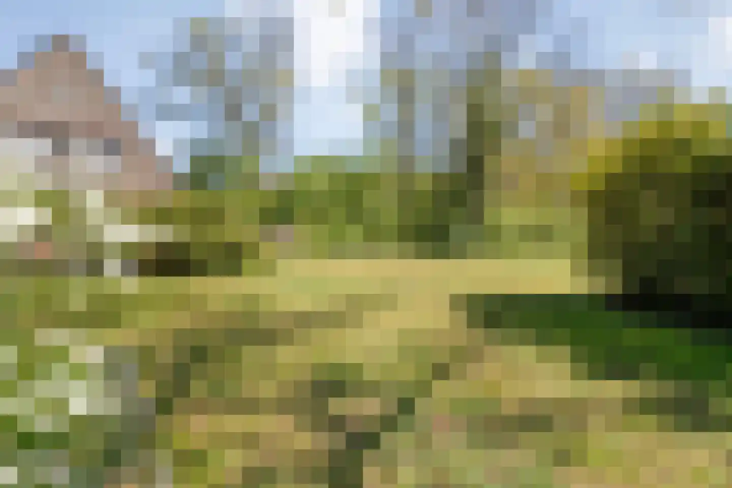 Hammerweg 64 Ommen thumbnail 56