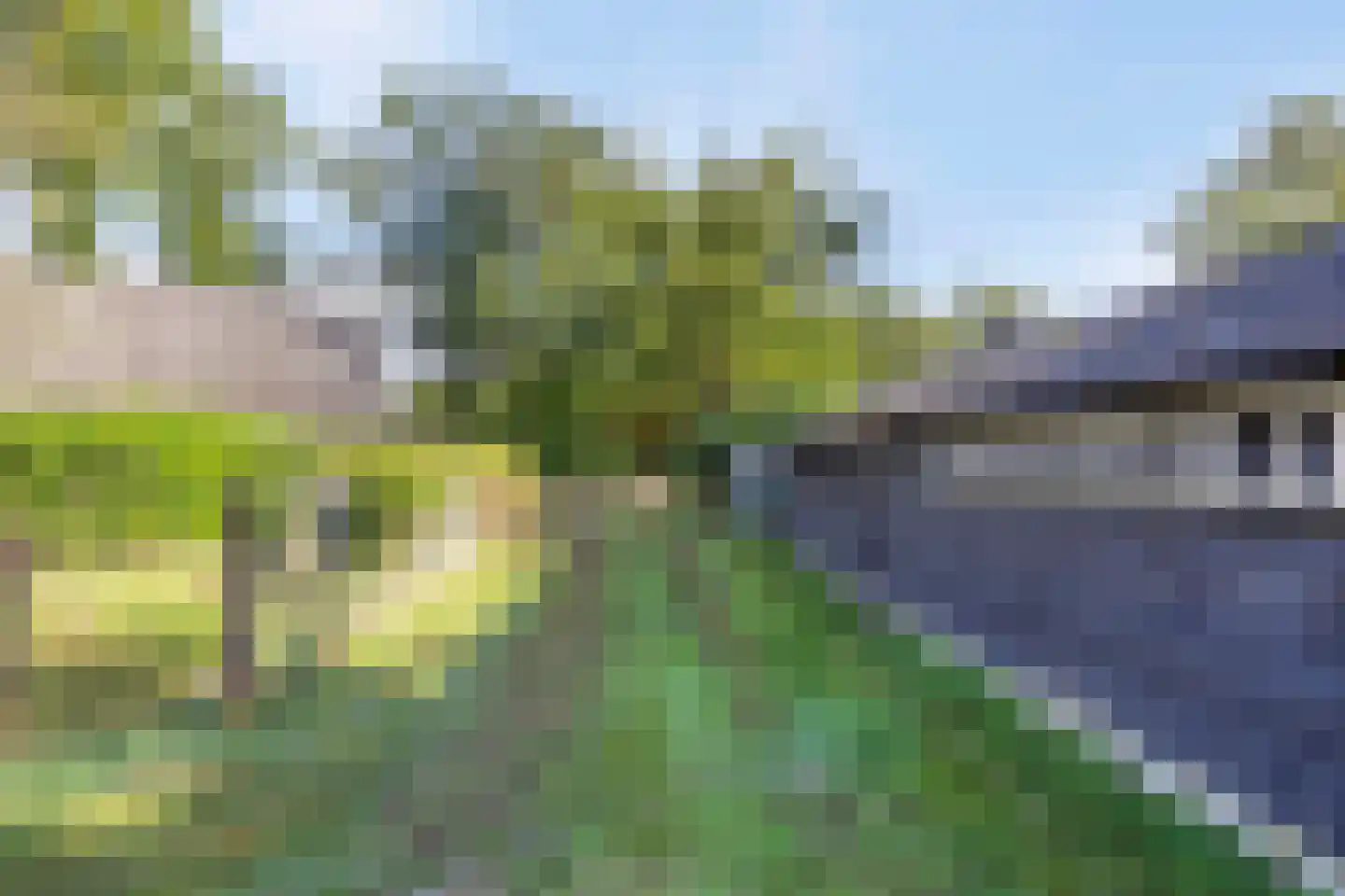 Hammerweg 64 Ommen thumbnail 57