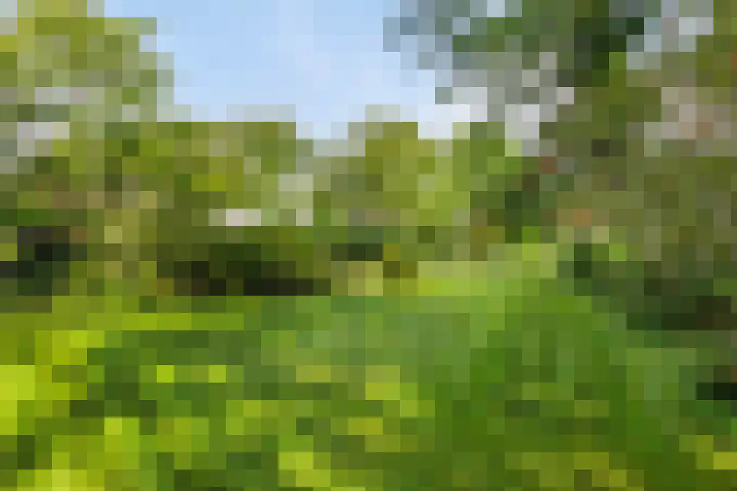Hammerweg 64 Ommen thumbnail 6