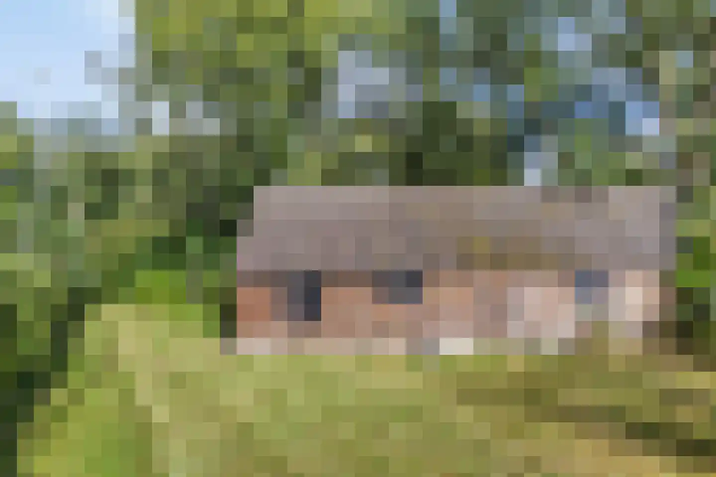 Hammerweg 64 Ommen thumbnail 60