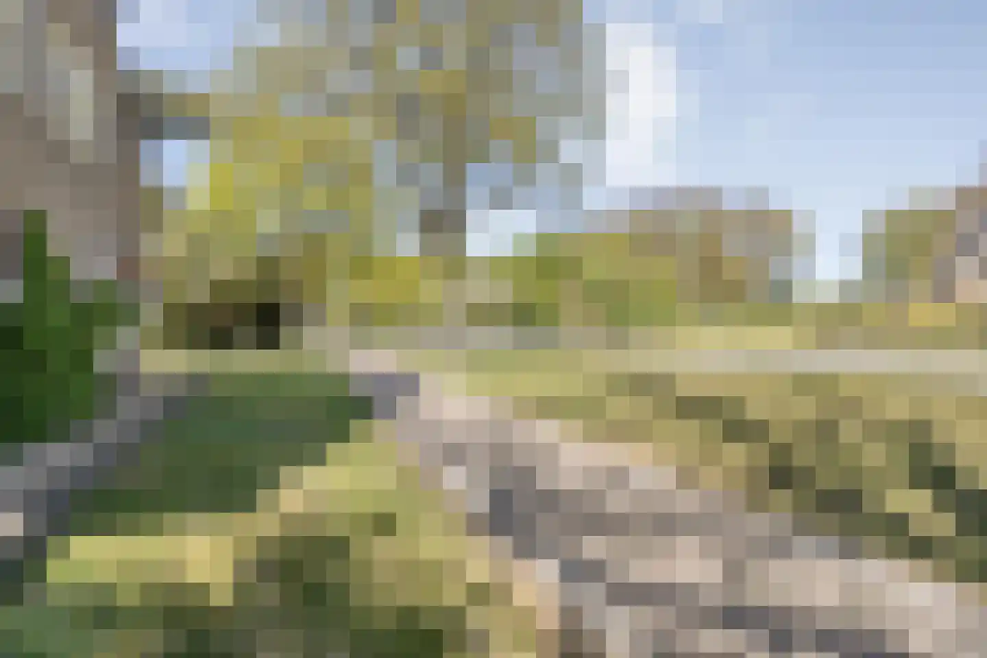 Hammerweg 64 Ommen thumbnail 7