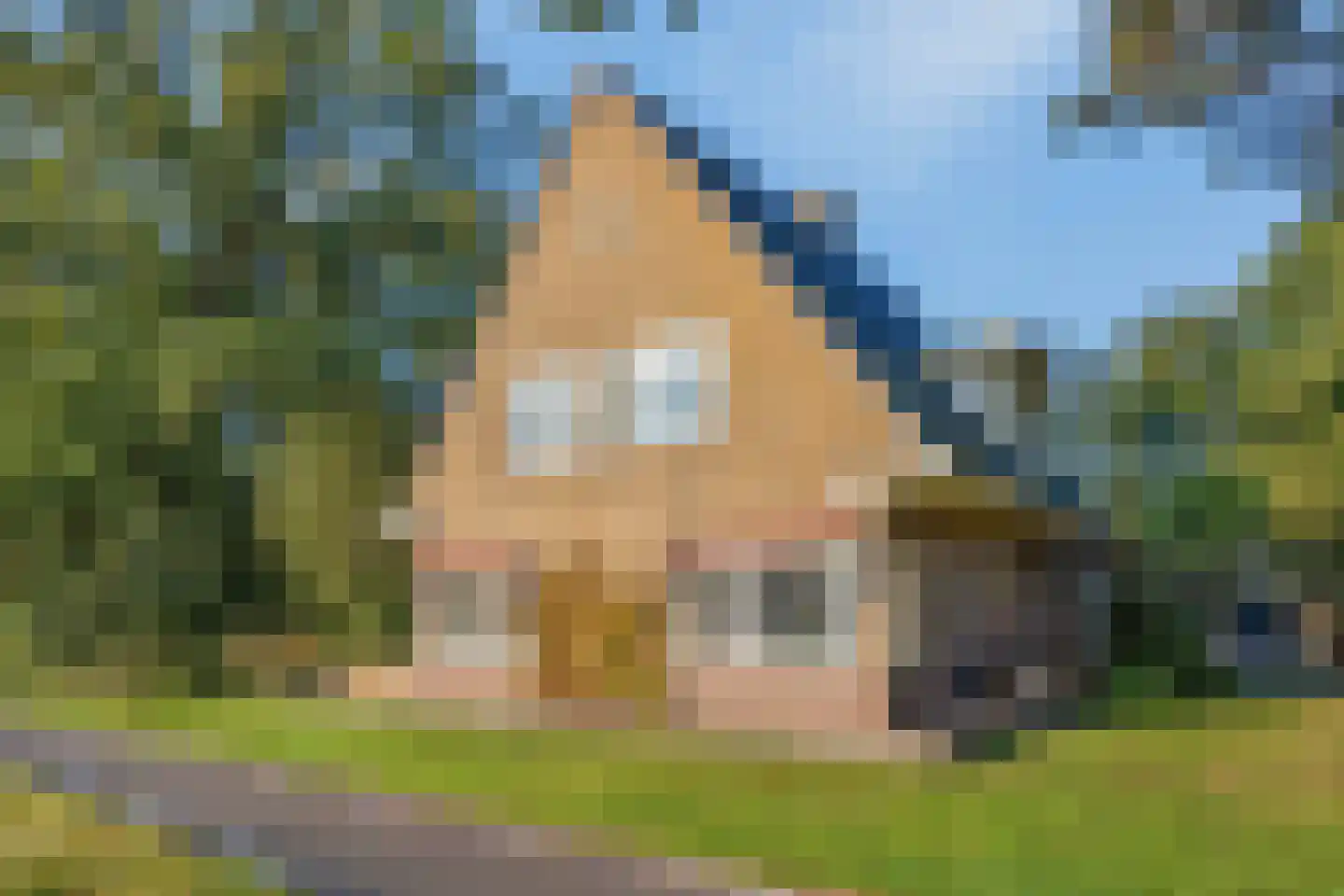 Hammerweg 64 Ommen thumbnail 7
