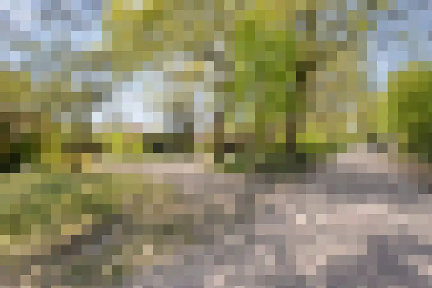 Hammerweg 64 Ommen thumbnail 8