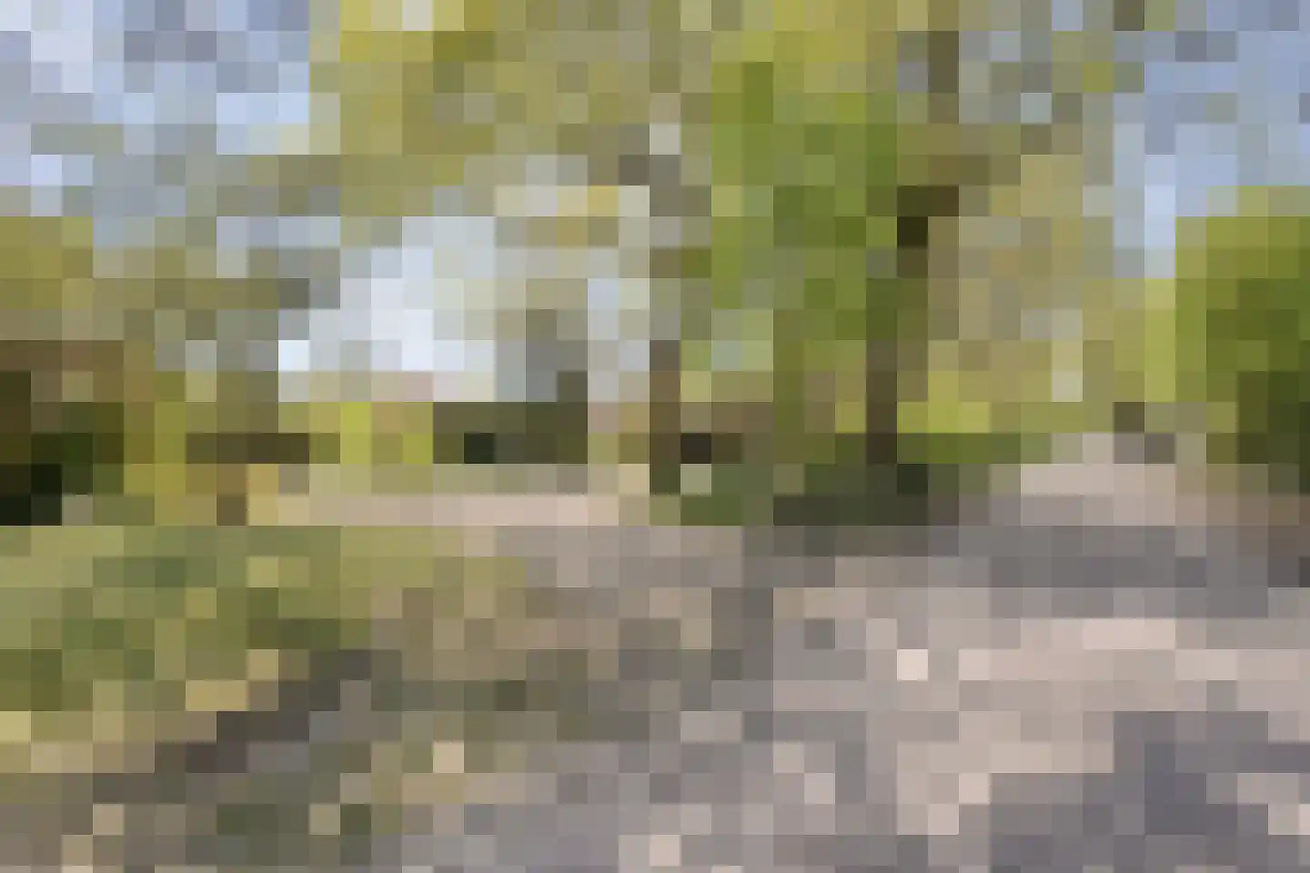 Hammerweg 64 Ommen thumbnail 8
