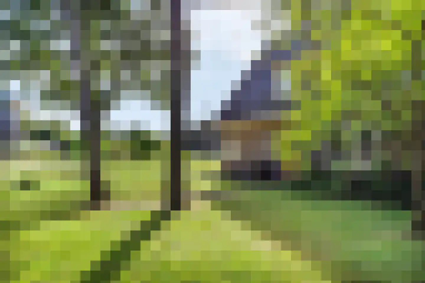 Hammerweg 64 Ommen thumbnail 9