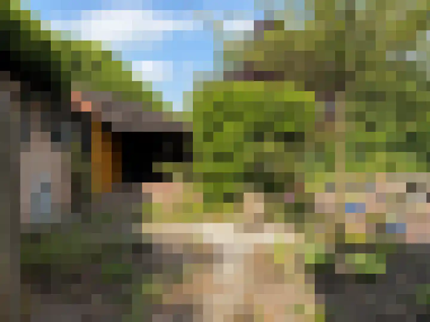 Hammerweg 7 Ommen thumbnail 44