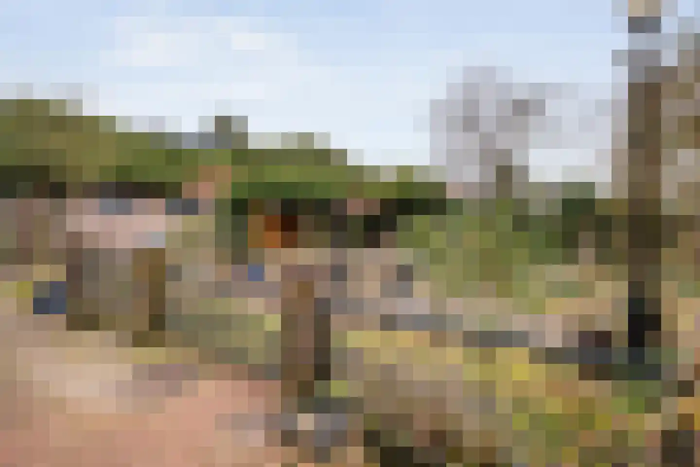 Hammerweg 7 Ommen thumbnail 44