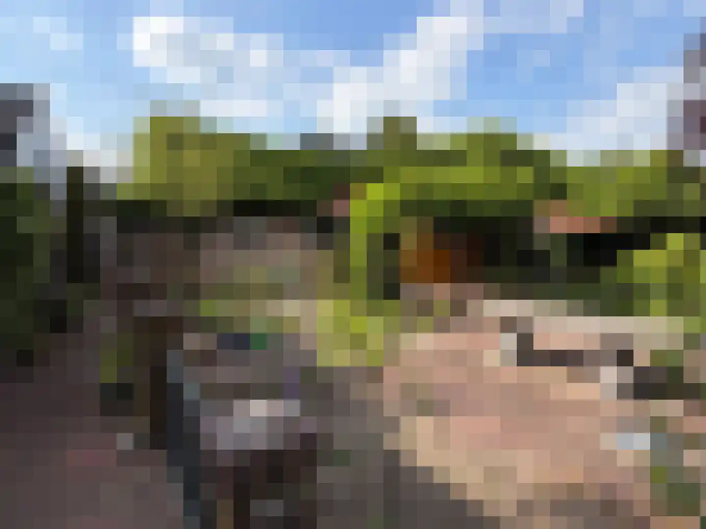 Hammerweg 7 Ommen thumbnail 45