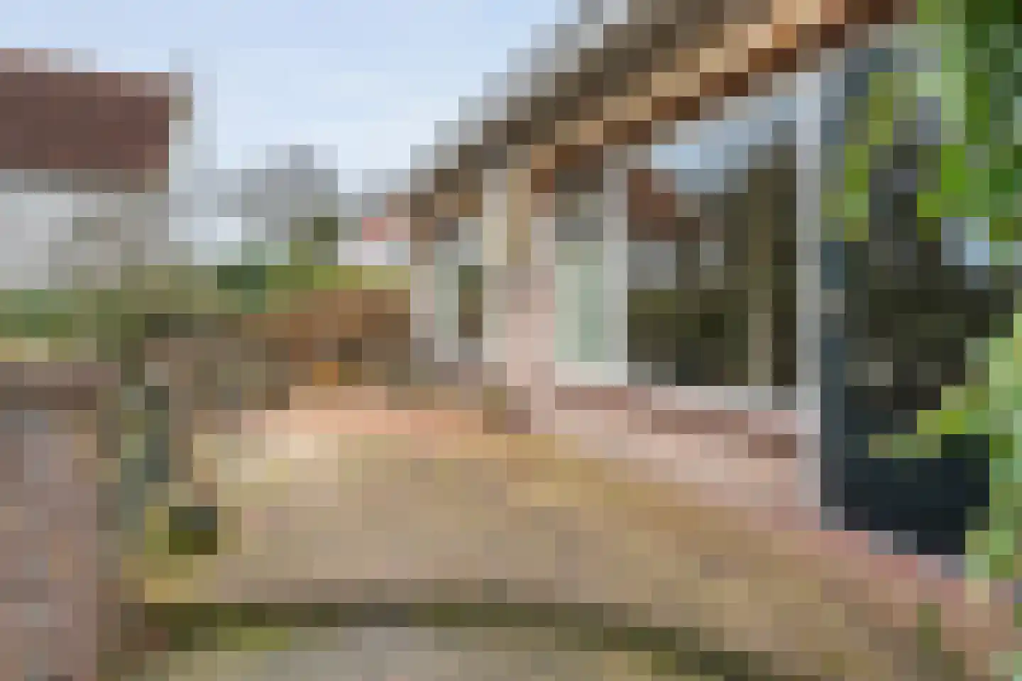 Hammerweg 7 Ommen thumbnail 46