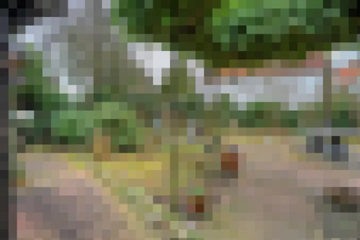 Hammerweg 7 Ommen thumbnail 48