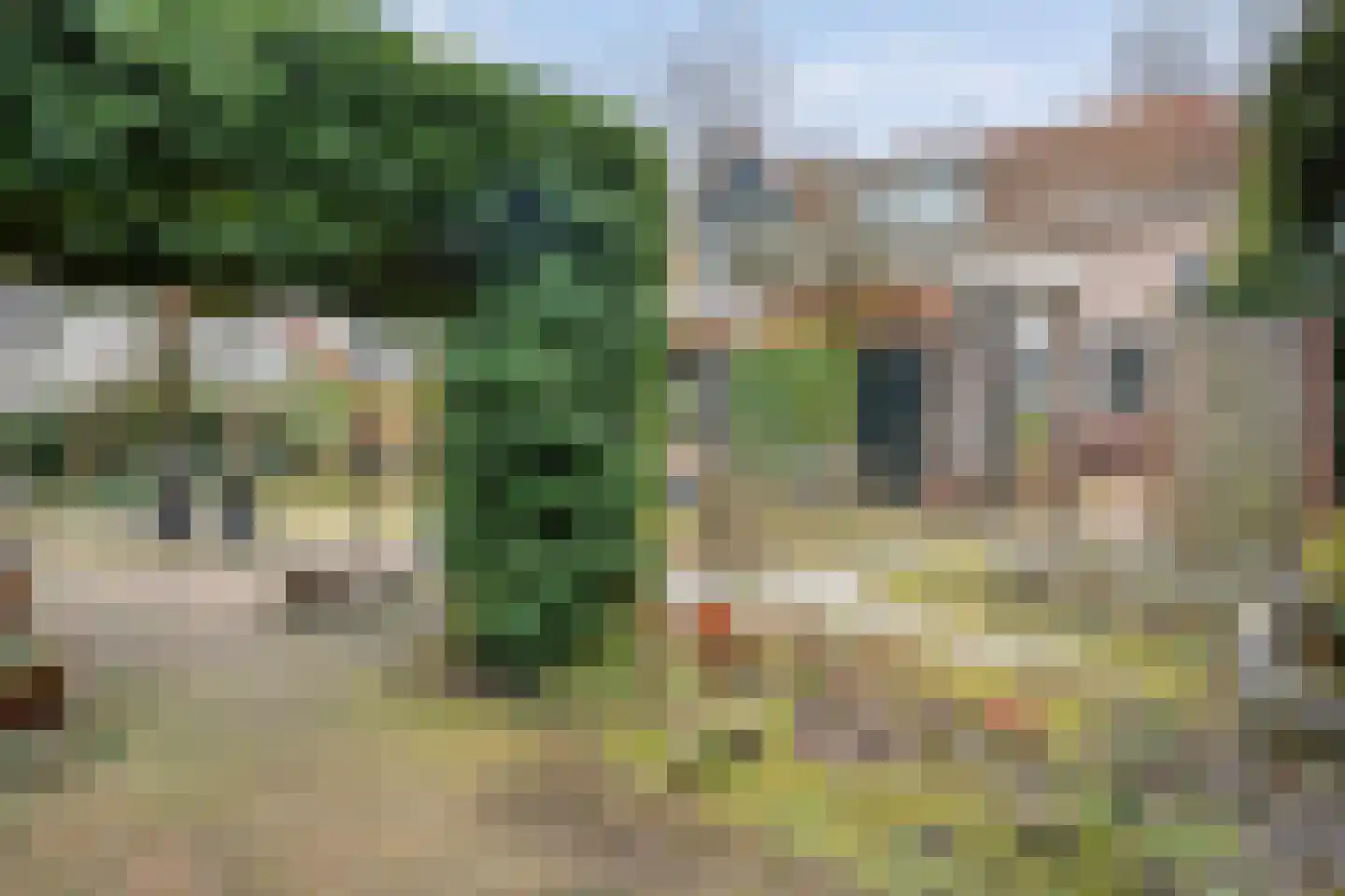 Hammerweg 7 Ommen thumbnail 50