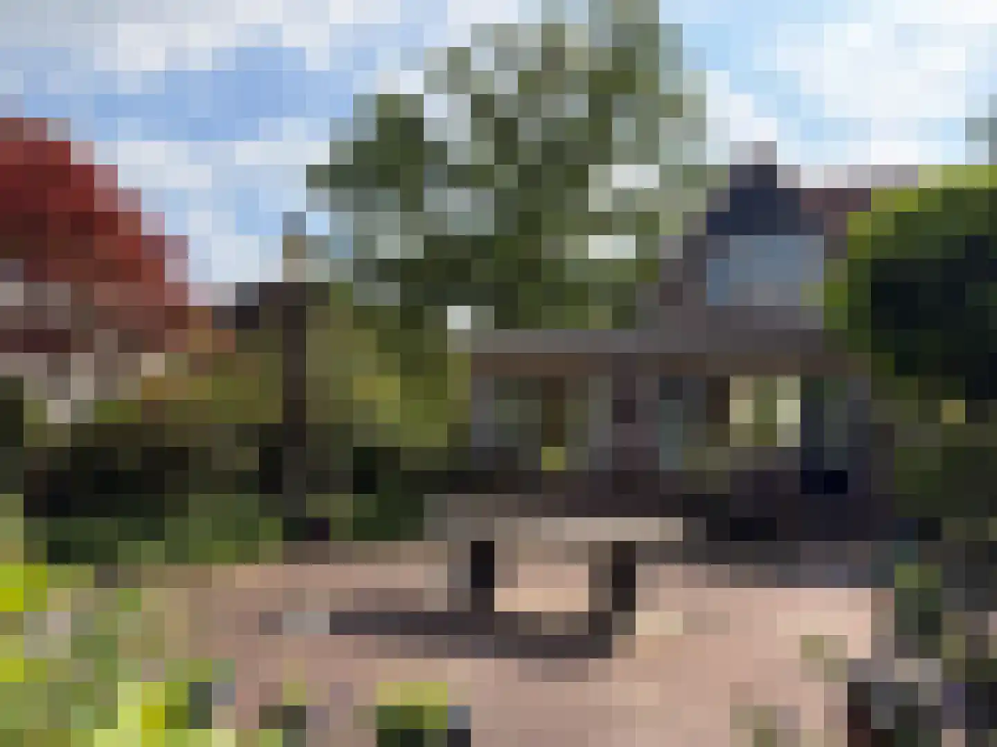 Hammerweg 7 Ommen thumbnail 51