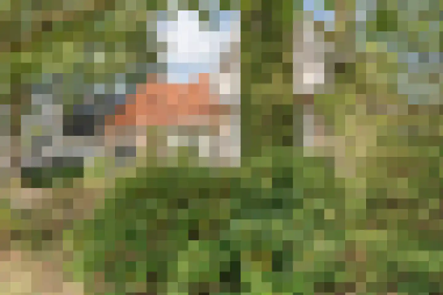 Hammerweg 7 Ommen thumbnail 51