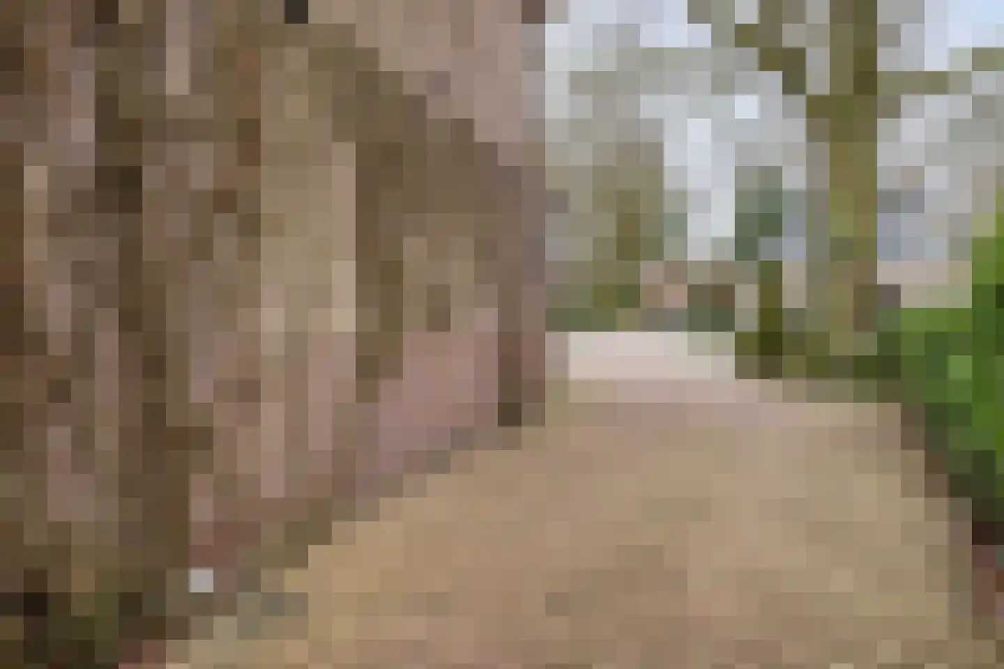 Hammerweg 7 Ommen thumbnail 55
