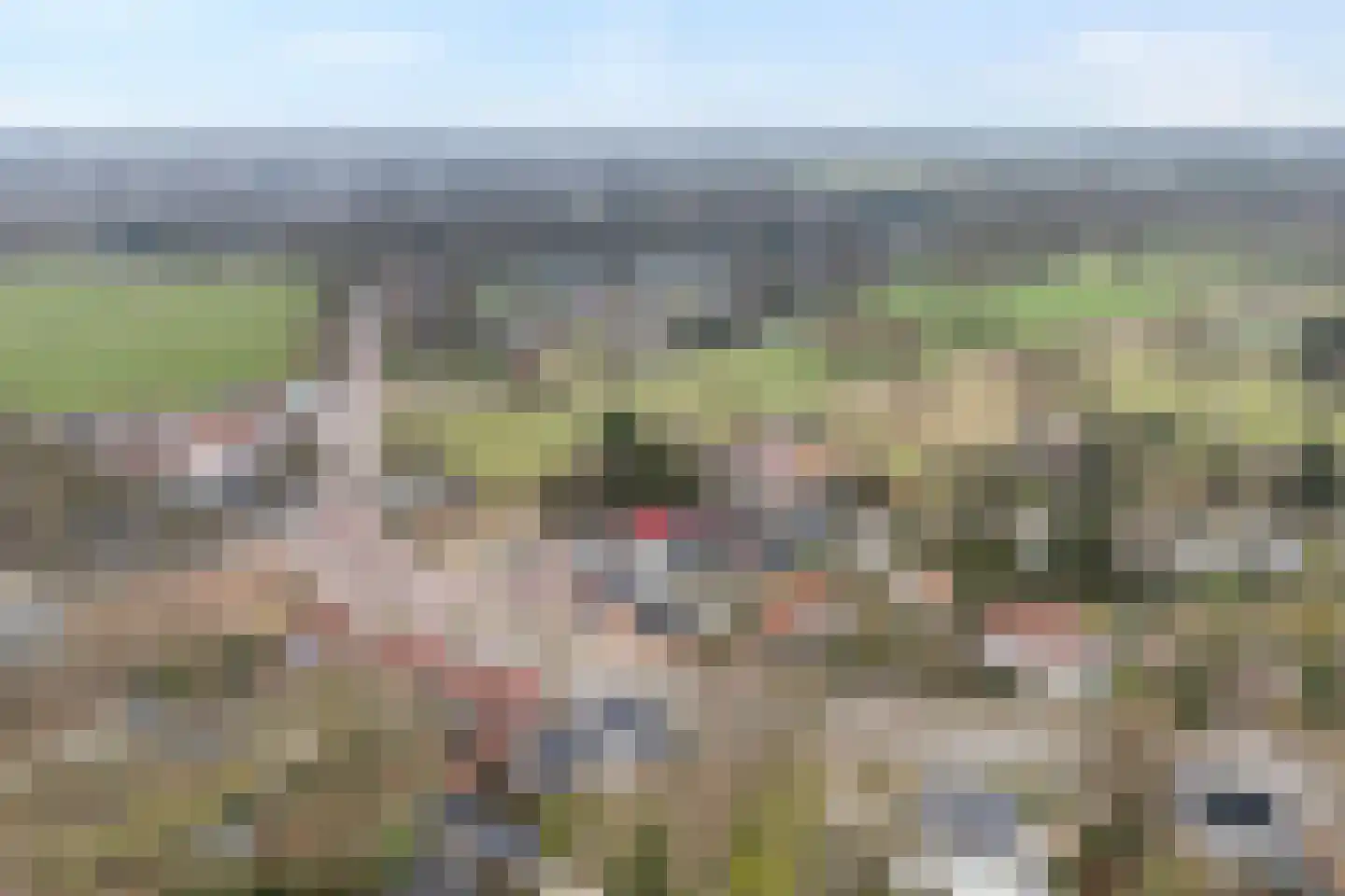 Hammerweg 7 Ommen thumbnail 59