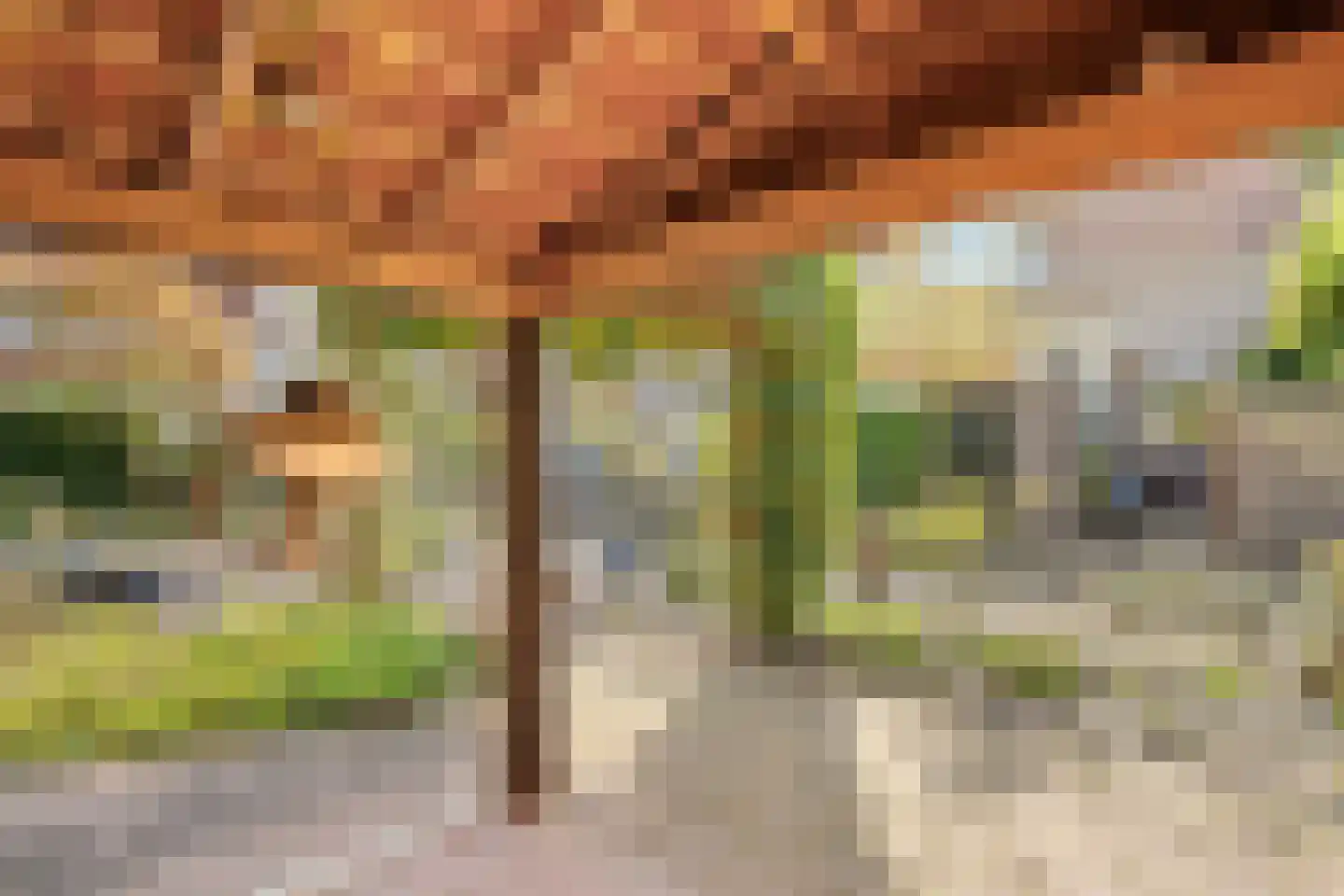 Hammerweg 7 Ommen thumbnail 60