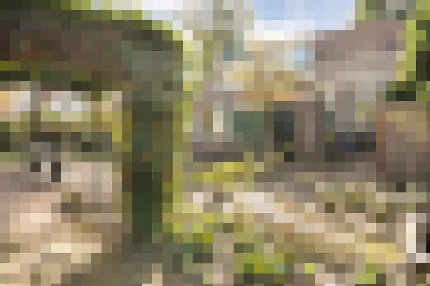 Hammerweg 7 Ommen thumbnail 61
