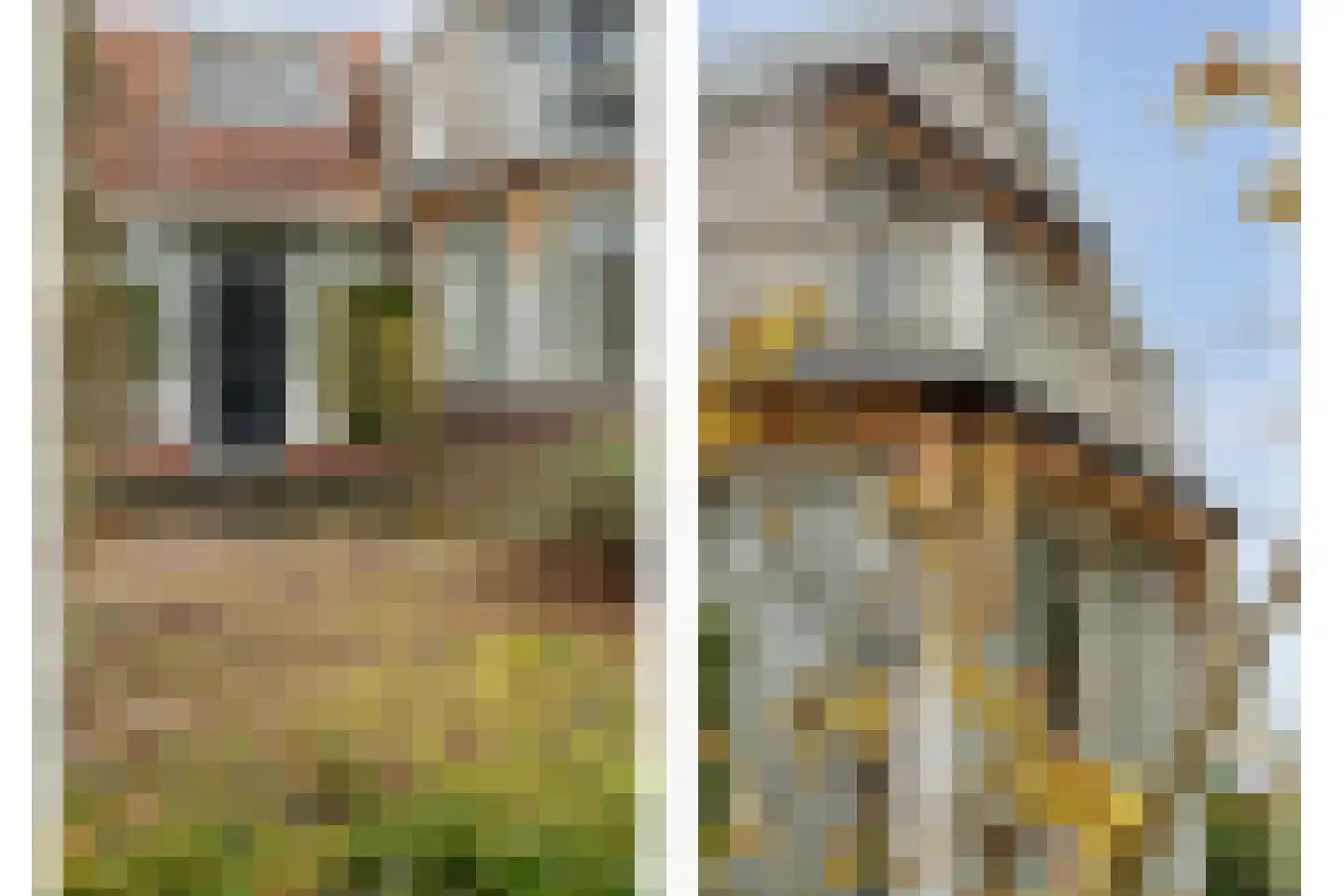 Hammerweg 7 Ommen thumbnail 65