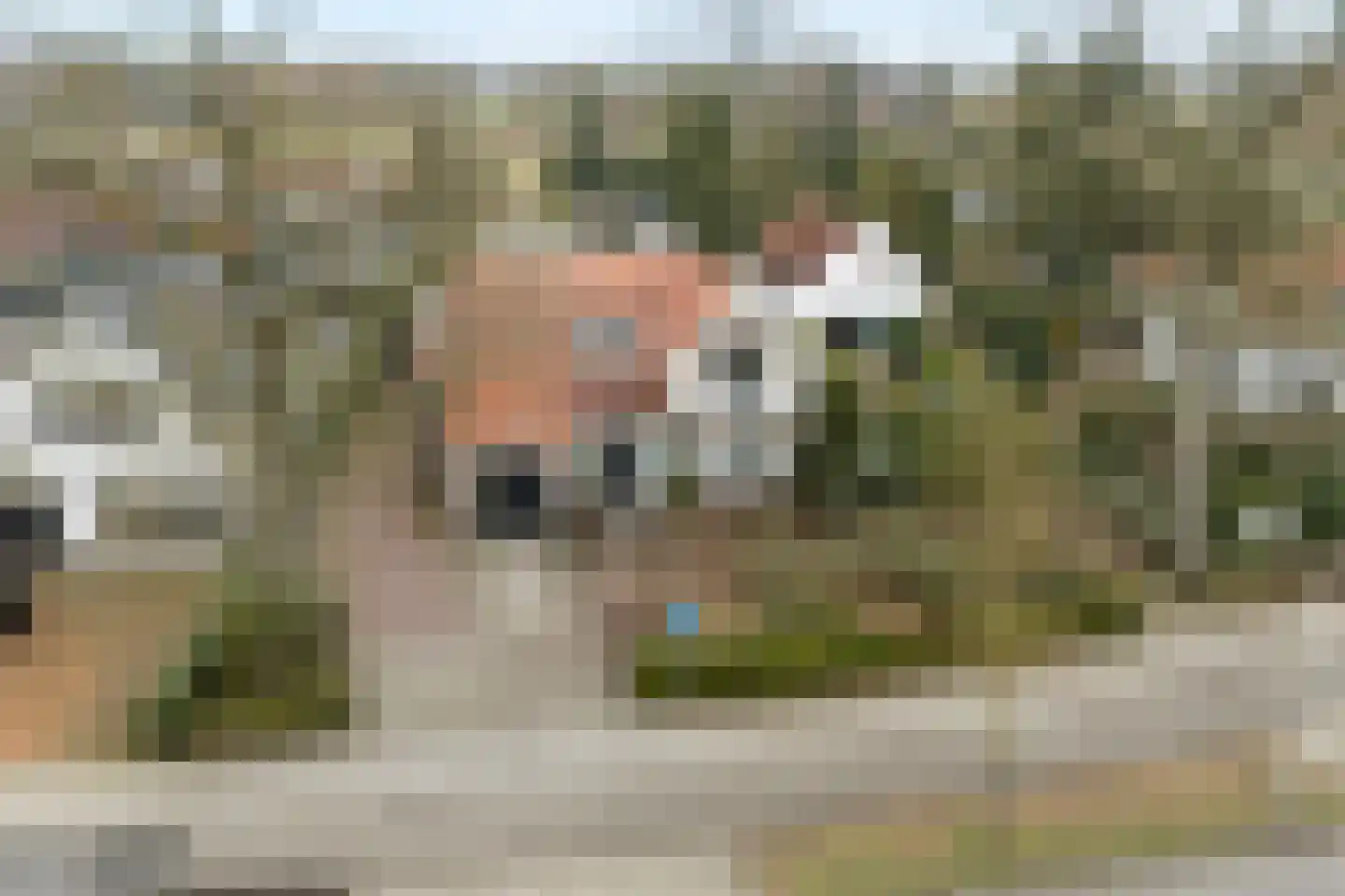Hammerweg 7 Ommen thumbnail 68