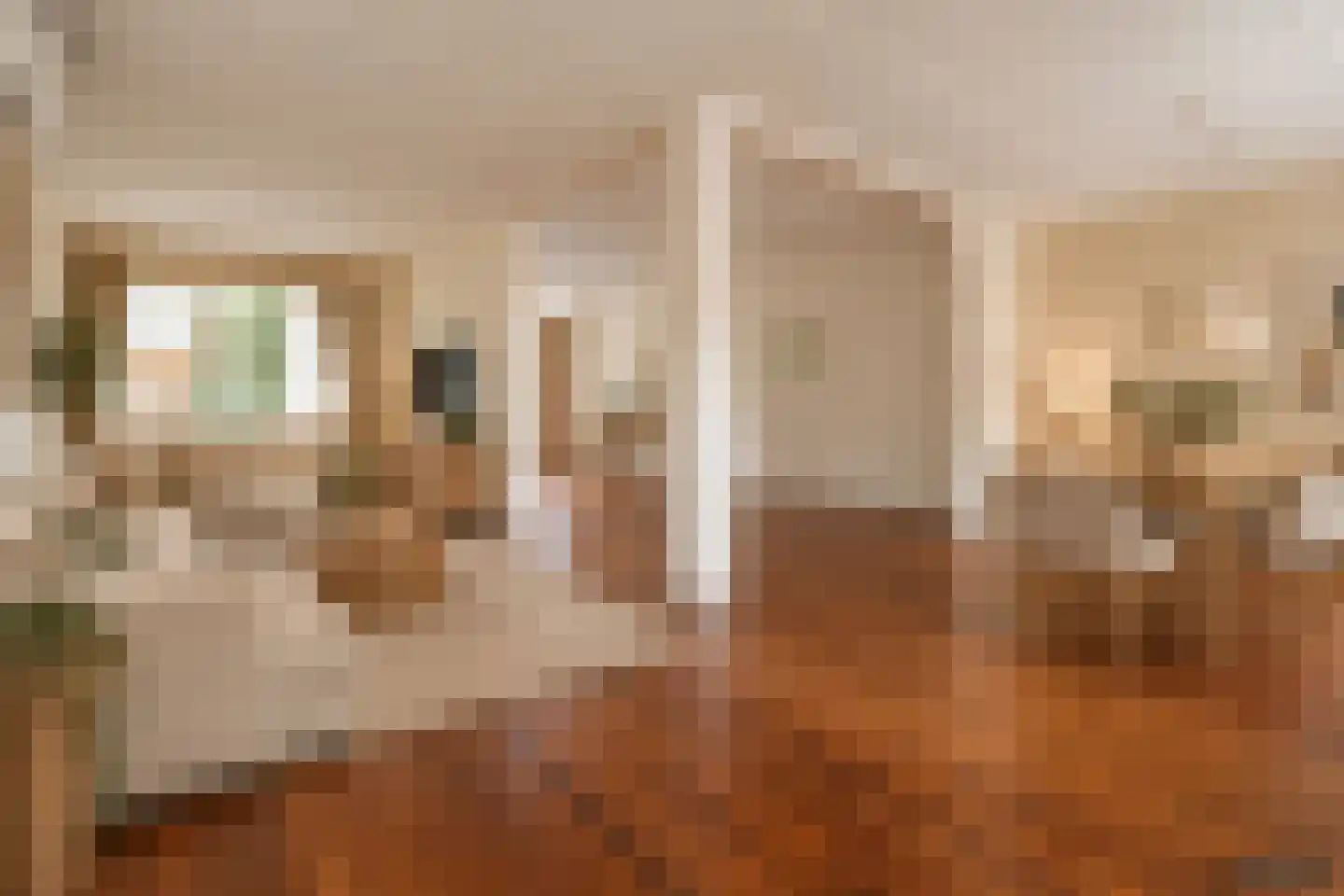 Hammerweg 7 Ommen thumbnail 7