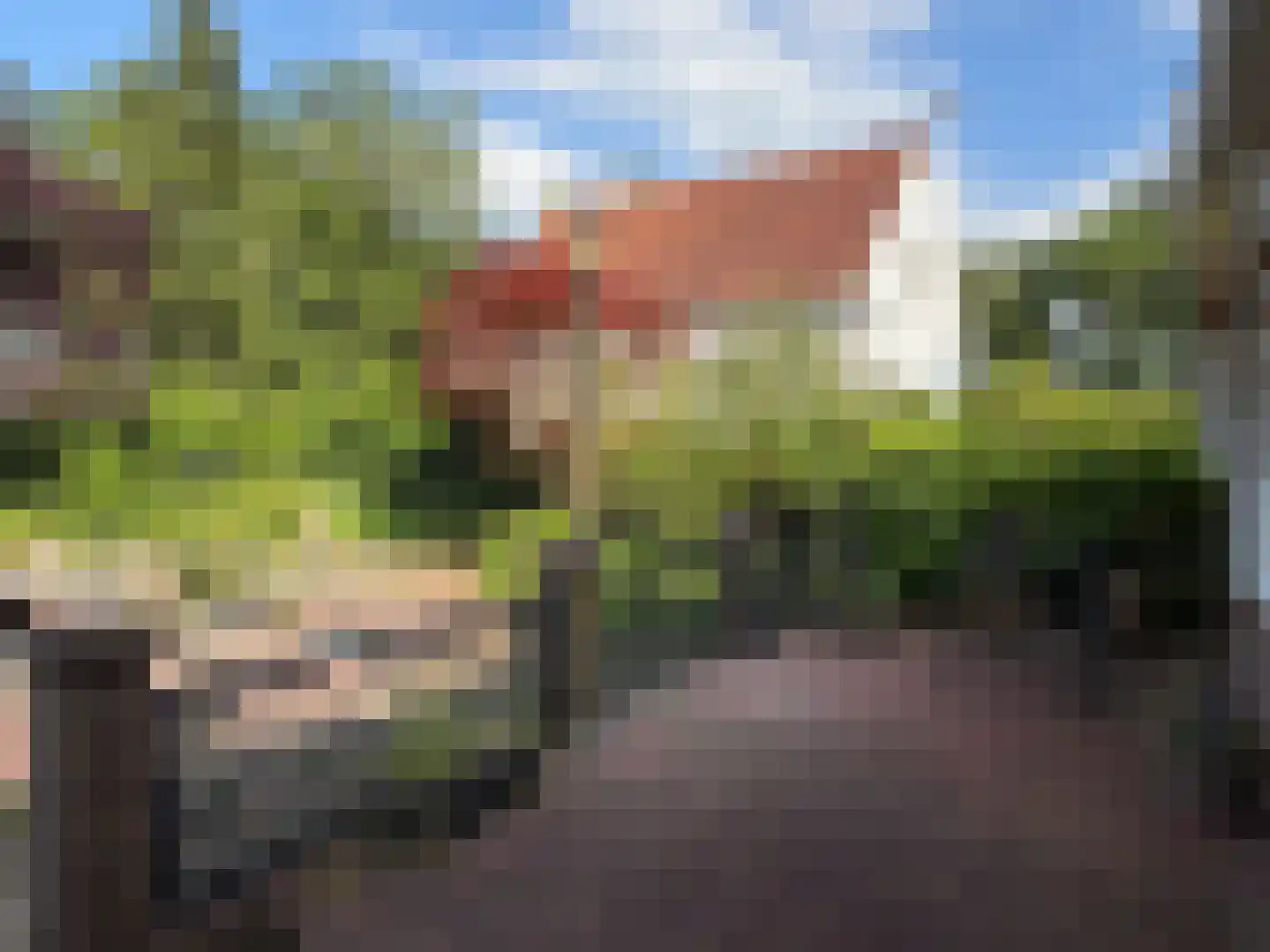Hammerweg 7 Ommen thumbnail 71