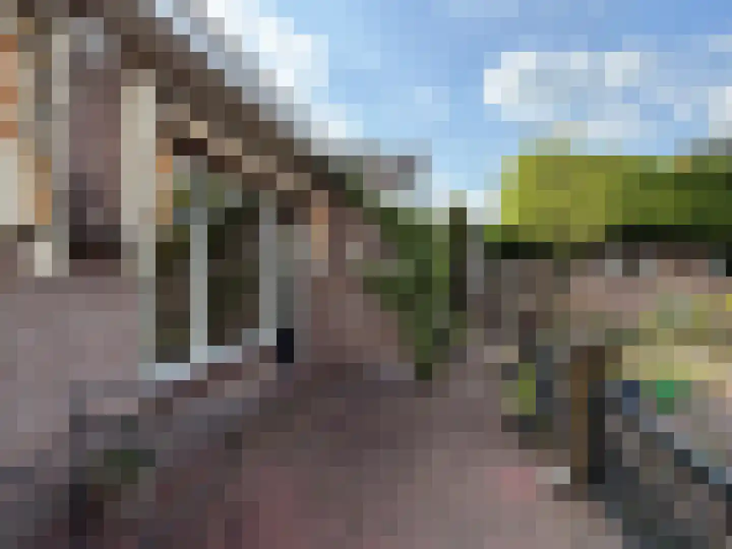 Hammerweg 7 Ommen thumbnail 72