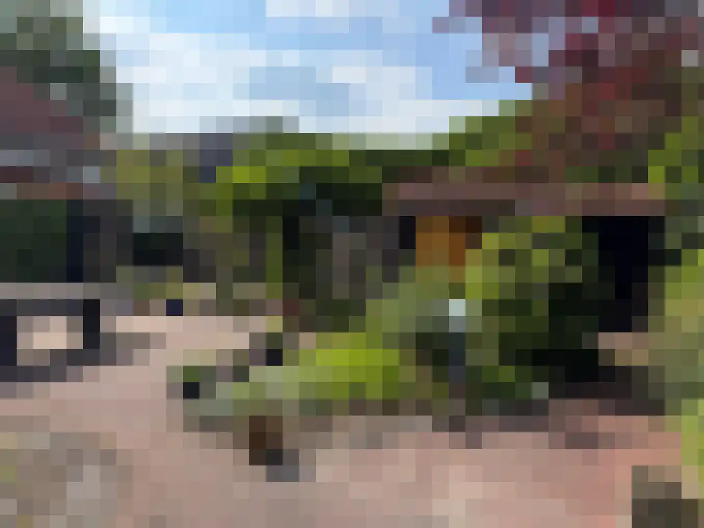 Hammerweg 7 Ommen thumbnail 73