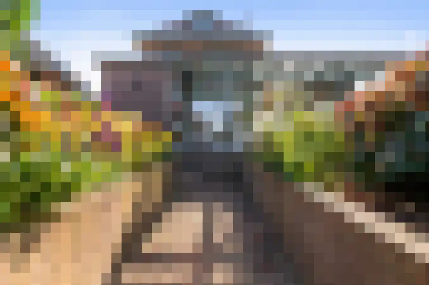 Hammerweg 74 Vriezenveen thumbnail 37