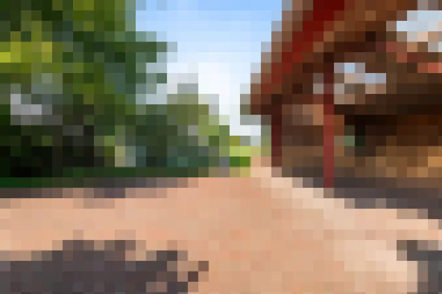 Hammerweg 74 Vriezenveen thumbnail 43