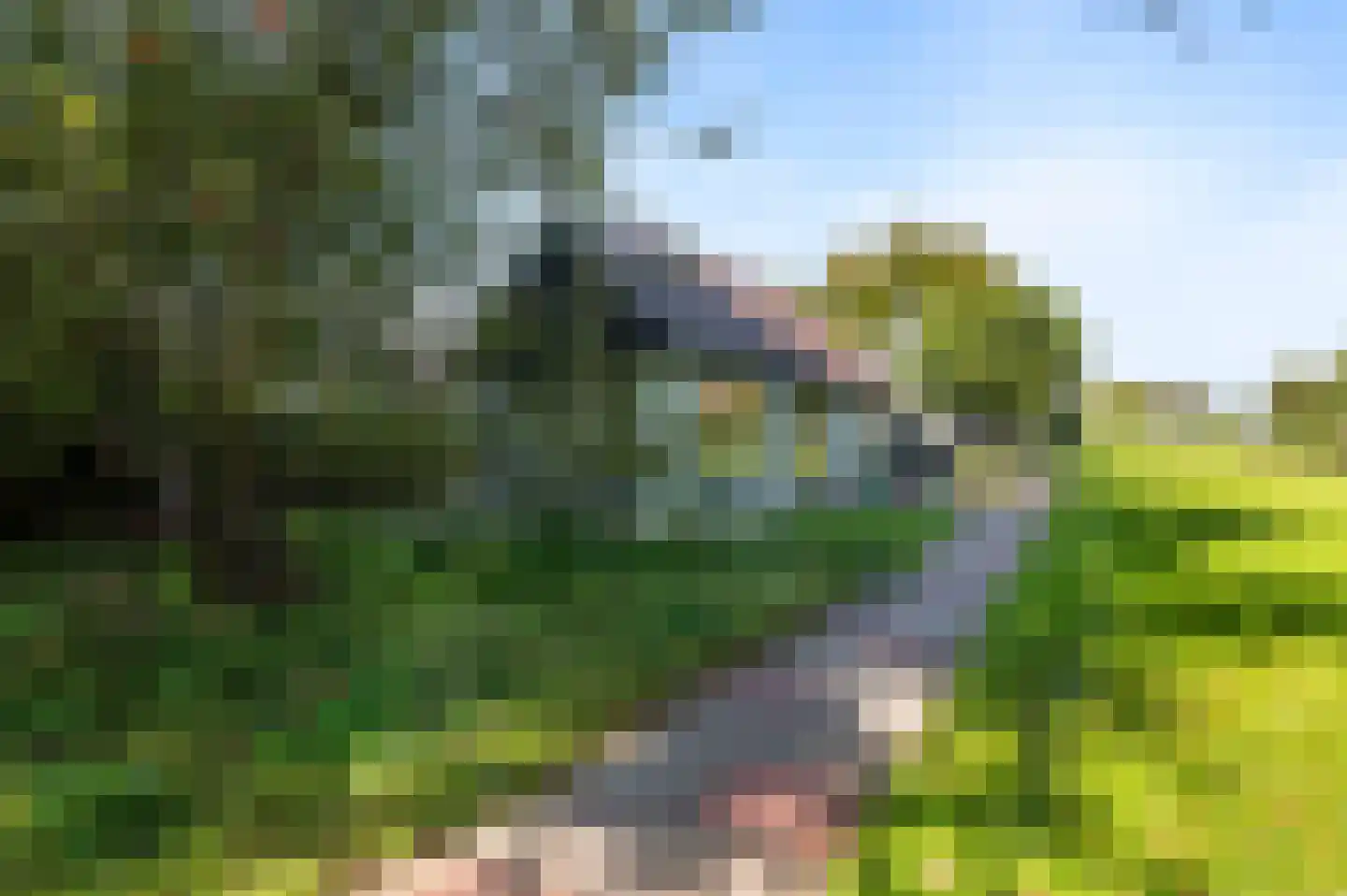 Hammerweg 74 Vriezenveen thumbnail 56