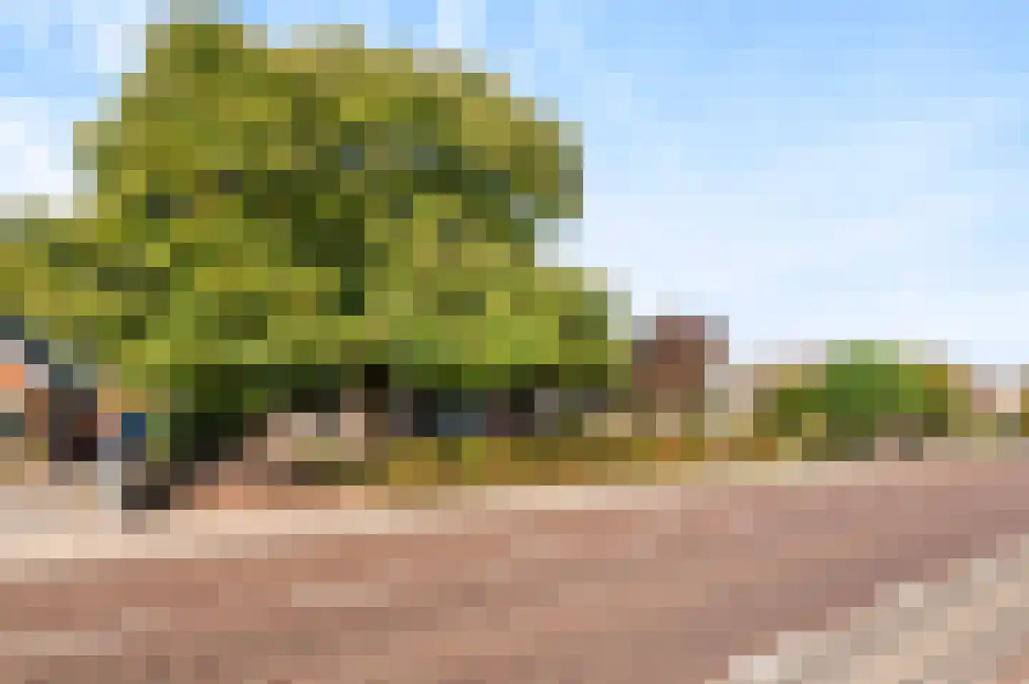Hammerweg 74 Vriezenveen thumbnail 64