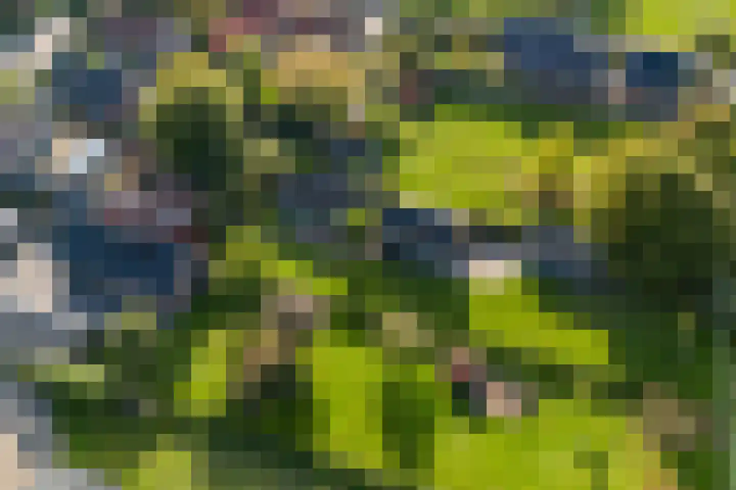 Hammerweg 74 Vriezenveen thumbnail 70