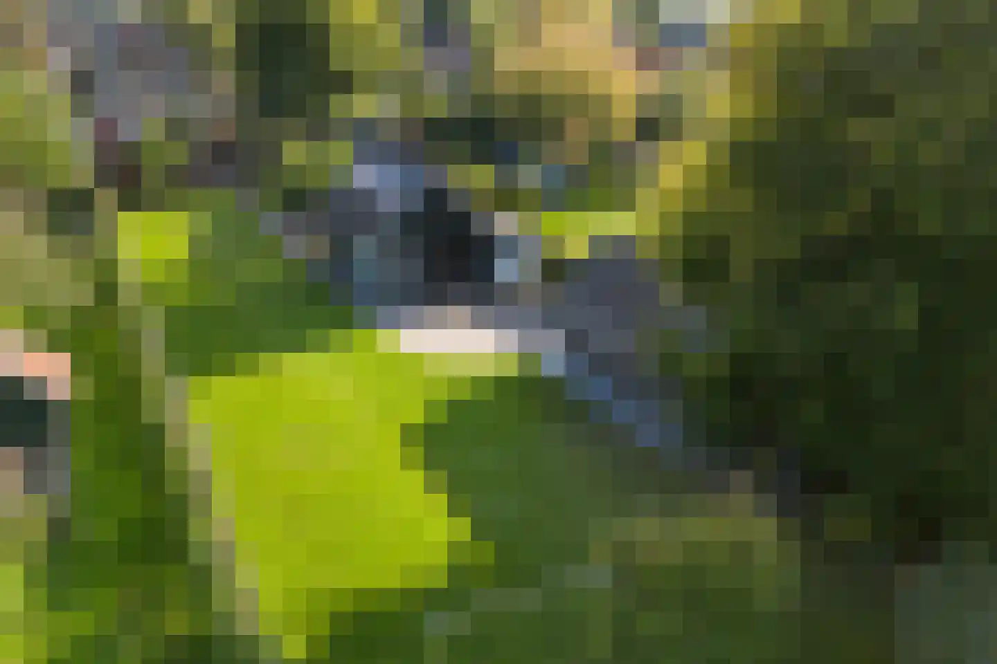 Hammerweg 74 Vriezenveen thumbnail 71