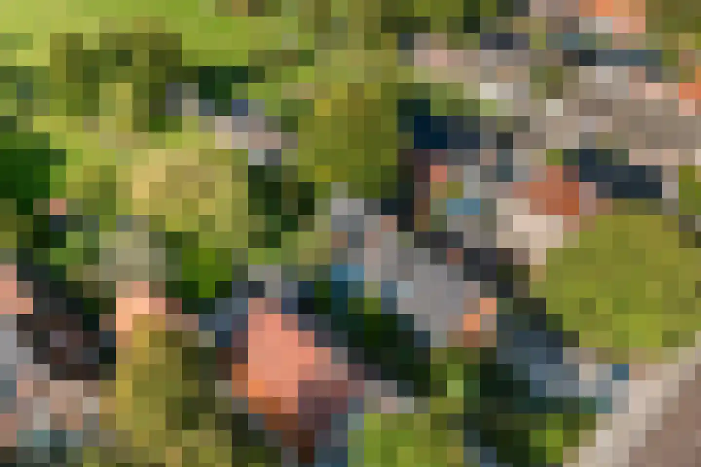 Hammerweg 74 Vriezenveen thumbnail 72