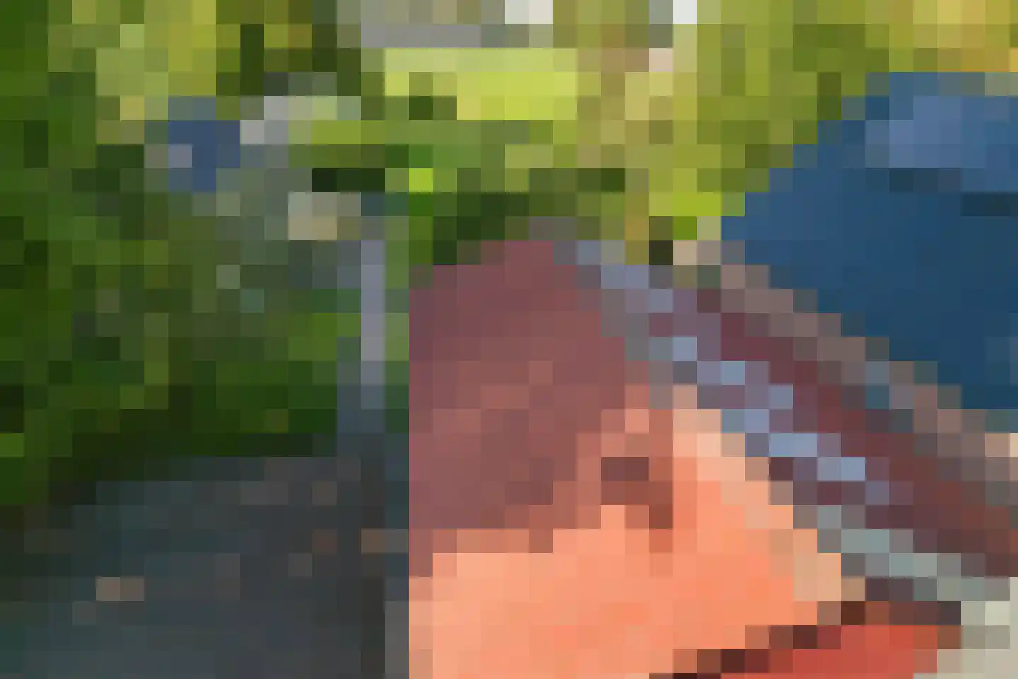Hammerweg 74 Vriezenveen thumbnail 73