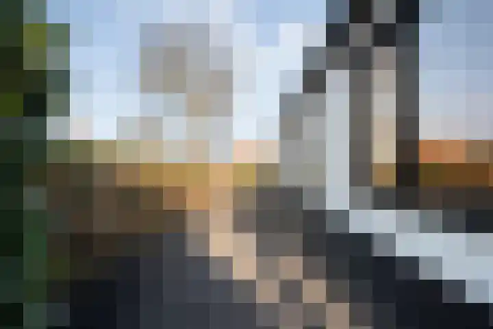 Hammerweg 77 Vriezenveen thumbnail 31