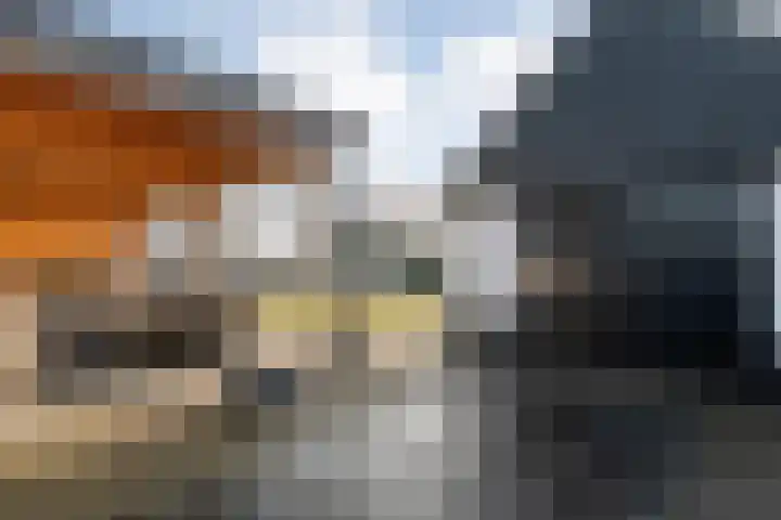 Hammerweg 77 Vriezenveen thumbnail 32