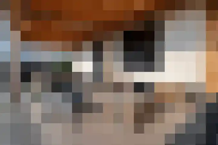 Hammerweg 77 Vriezenveen thumbnail 34