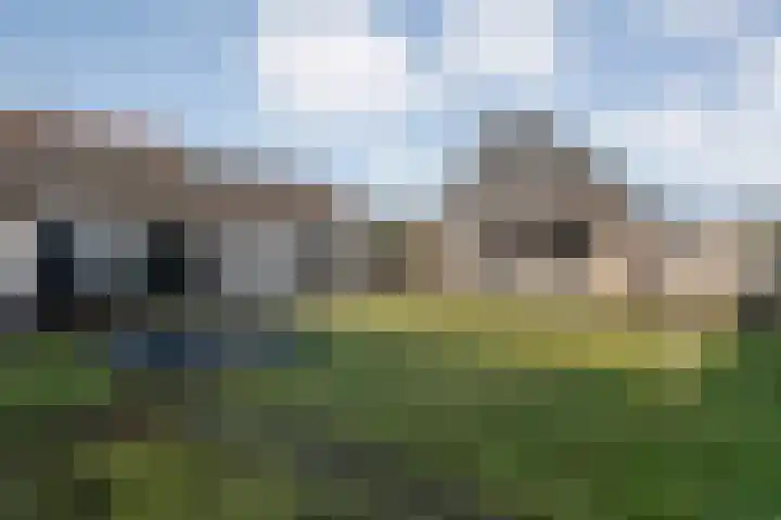 Hammerweg 77 Vriezenveen thumbnail 35