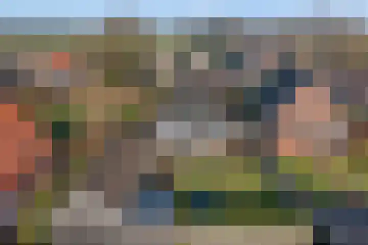 Hammerweg 77 Vriezenveen thumbnail 36