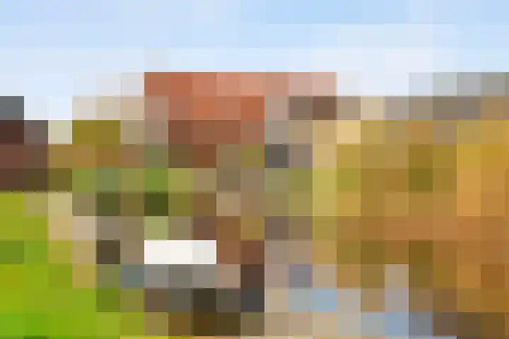 Hammerweg 79 Vriezenveen thumbnail 41