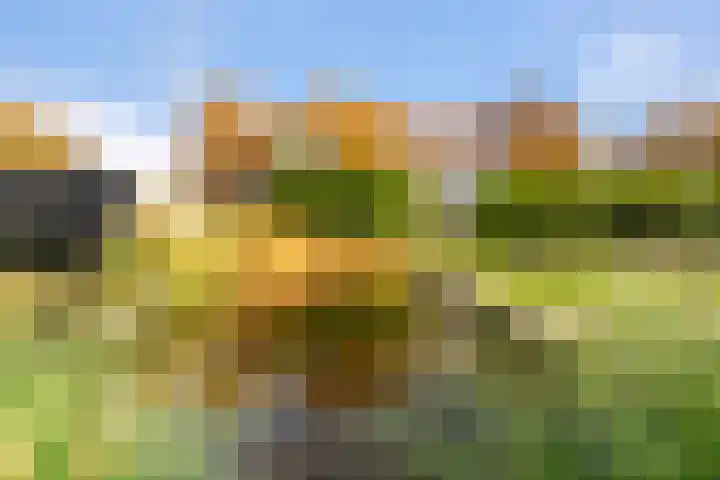 Hammerweg 79 Vriezenveen thumbnail 42