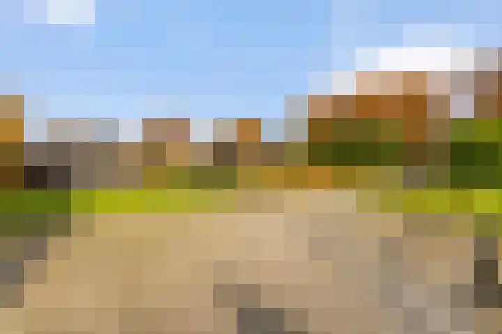 Hammerweg 79 Vriezenveen thumbnail 43
