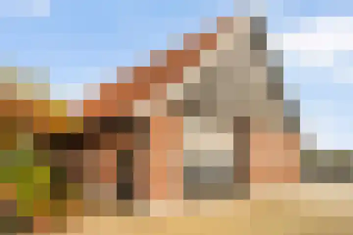 Hammerweg 79 Vriezenveen thumbnail 45