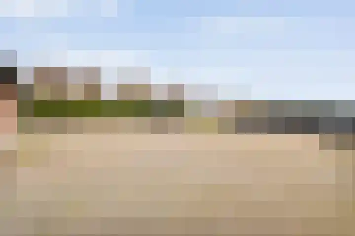 Hammerweg 79 Vriezenveen thumbnail 46