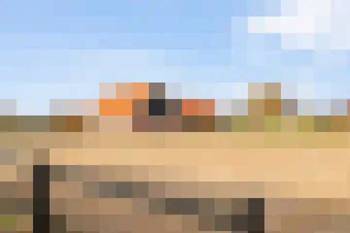 Hammerweg 79 Vriezenveen thumbnail 47