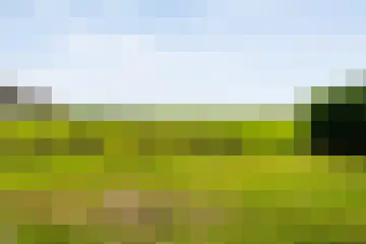 Hammerweg 79 Vriezenveen thumbnail 50