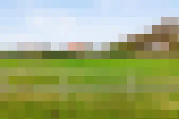 Hammerweg 79 Vriezenveen thumbnail 51
