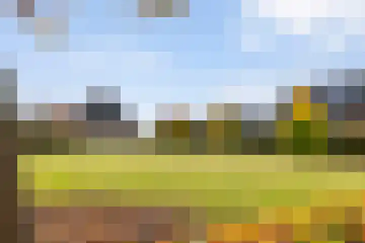 Hammerweg 79 Vriezenveen thumbnail 52