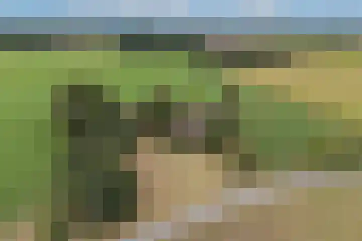 Hamminkweg 1 Vorden